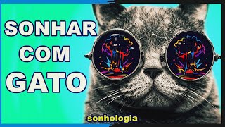 SIGNIFICADO PSICOLOGICO DE SONHAR COM GATO