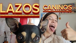 INTRO ❤️LAZOS CANINOS❤️