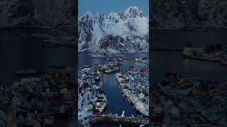 Lofoten island #shortsfeed #shortsvideo #shortsyoutube #shortvideo #shortsindia #shorts