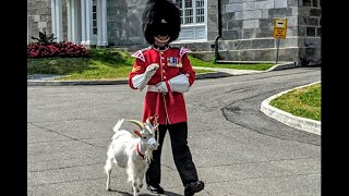 The Citadelle of Quebec & Royal 22e Régiment