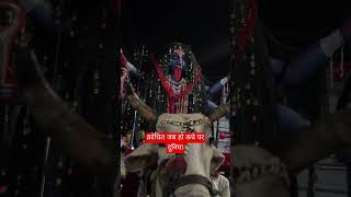 जय काली #jaymatadi #kali #kalimata #video #shorts #trending