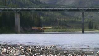 super cub under the bridge