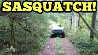 Sasquatch Road! Middle of Knowhere! - Chehalis Area