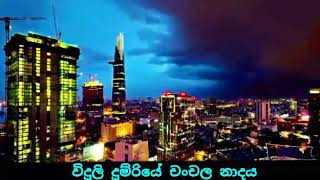 විදුලි දුම්රියේ චංචල නාදය