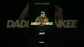 Nuevo Mix Daddy Yankee (parte 01)