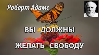 Вы должны желать свободу (Роберт Адамс, НикОшо)