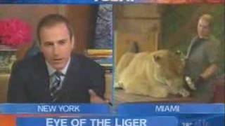 Liger on the Today Show with Matt Lauer