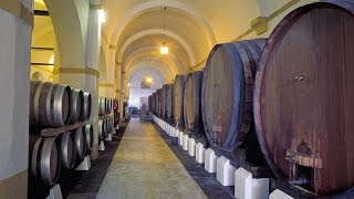 Swirl, Smell and Savor: A Unique Wine Tasting Trail - Visit Europe