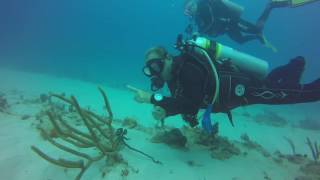 Scuba Diving in Dominican Republic #2