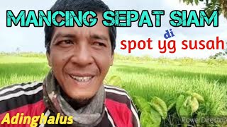 Mancing sepat siam di spot yang susah