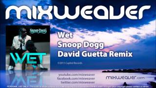 Snoop Dogg - Wet (David Guetta Remix) [Dirty]