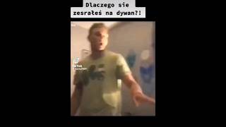 TikTok śmieszny film | dlaczego się zesrałeś na dywan to był kot