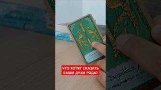 ЧТО ХОТЯТ СКАЗАТЬ ВАМ ДУХИ РОДА? #таро #tarot #shorts