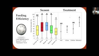 Mitigation of biological-active CECs in urban stormwater utilizing Iron-enhanced sand filtration