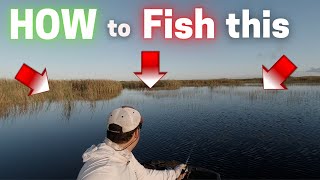 Everglades: Fishing Vegetation