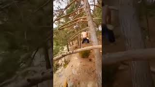 How to climb a tree like Mulan #shorts