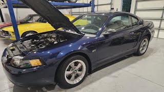 2001 mustang bullitt true blue low miles example