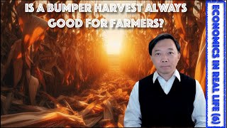 Is A Bumper Harvest Always Good for Farmers? | Economics in Real Life (Episode 6)