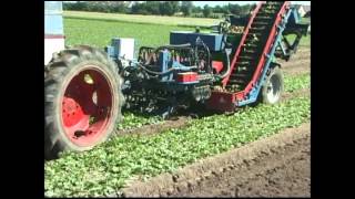 ASA-LIFT - Radish harvester