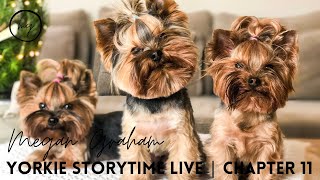 Yorkie Storytime Live | Chapter 11