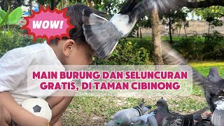 Main BURUNG Gratis Di TAMAN CIBINONG BOGOR || Seru Banget lihat Burung #fun