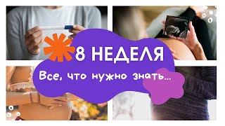 8 неделя беременности: особенности, признаки, рекомендации. Календарь беременности