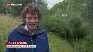 Tagesschau Jagdgesetz 13.8.2020