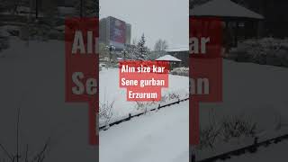 Ercan Polat ERZURUM OYUN Havaları