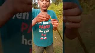 water lily into a necklace😂🤣|| santhali  funny video|| #shorts #short video #trending @pknacho1665