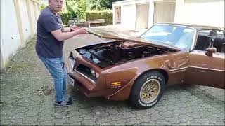 Trans Am Firebird im Original. Hotwheel Edition UND!!! BBQ