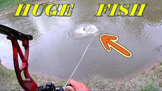 The Beast are Deep! Ram-bowing Big Fish!*(Fishing Gravel Crossing)* #garden #fishing