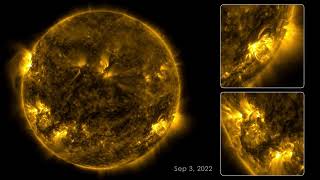 Surviving 133 Days on the Sun: Unveiling the Secrets of Solar Endurance