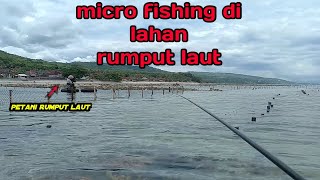 iseng mancing di pantai di lahan rumput laut orang