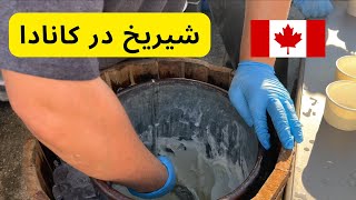 فیستوال تابستانی افغانها در ونکوور کانادا