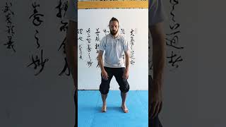 Basic Qi Gong Online Class - Do Less and Release More