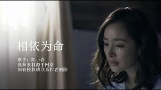 陈小春的《相依为命》，我不想跟你重蹈覆辙，我想与你不在想见！