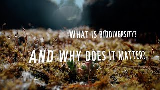 What is biodiversity? And why does it matter? | COP15 in Montreal