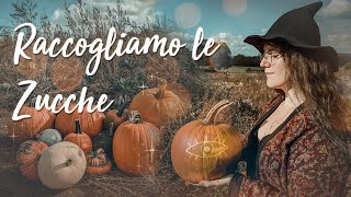 A Caccia di Zucche di Halloween～Samhain per la nostra Casa ★