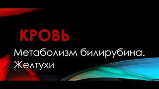 Физиология. Глава 4. Кровь. Метаболизм билирубина. Желтухи