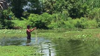 Amazing fishing in siem Reap, cambodia