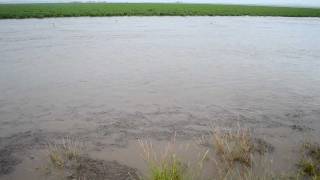 Severe Farmland Flooding after Worst Drought in Texas History   August 14 2011