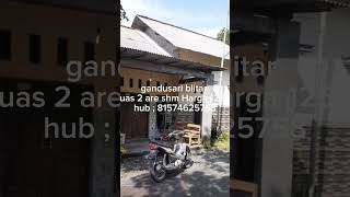 Rumah gandusari Blitar 125 jt #blitar #jualsawah #gandusari #jualtanah #