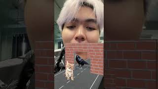 Game Siêu Khó Trên TikTok #roblox #tiktok