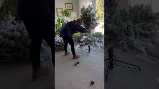 Help me put up my new Christmas Tree! #christmastree #christmasdecorations #grow #dogs #christmas