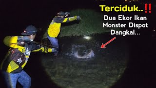 SAMPAI GEMETARAN..!! Sekaligus 2 ekor ikan besar dispot air dangkal | ketapel ikan | slingshot