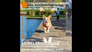 Натуральная грязь для желудка и кишечника собак LUPO Moorliquid