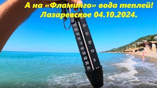 А на "Фламинго" вода теплей! Лазаревское 04.10.2024.🌴ЛАЗАРЕВСКОЕ СЕГОДНЯ🌴СОЧИ.