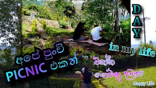 our picnic day/day in the life/home gardening/happy Life/