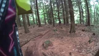 Forest of Dean Mallards Pike Enduro Run - Trek Remedy Shakedown