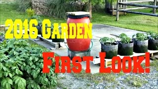 First Look - 2016 Rental House Garden!  5/21/16